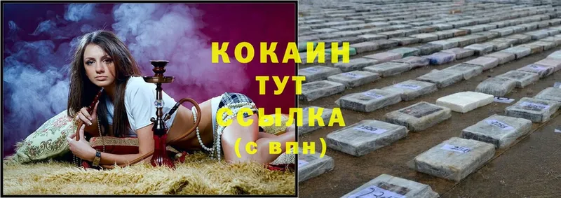 где можно купить   Алатырь  Cocaine FishScale 