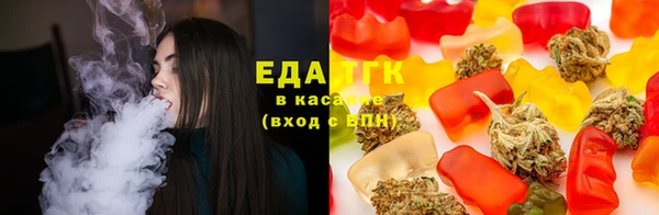 крисы Осинники
