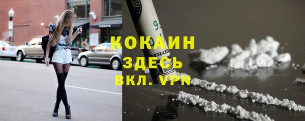 крисы Осинники