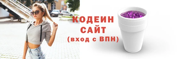 индика Переславль-Залесский