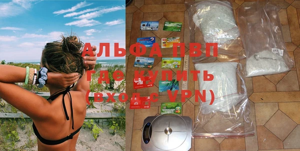 крисы Осинники