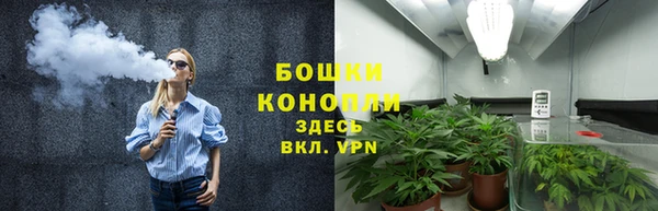 крисы Осинники