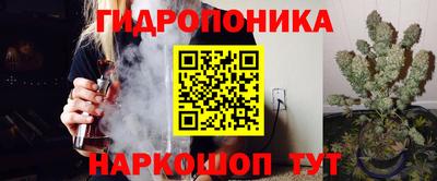 МДПВ Гатчина