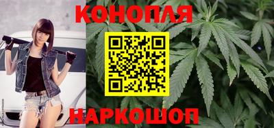 МДПВ Гатчина
