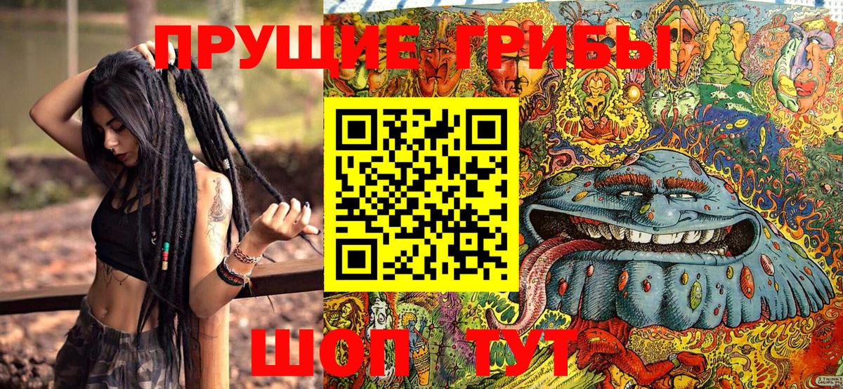 Псилоцибиновые грибы Cubensis Алатырь