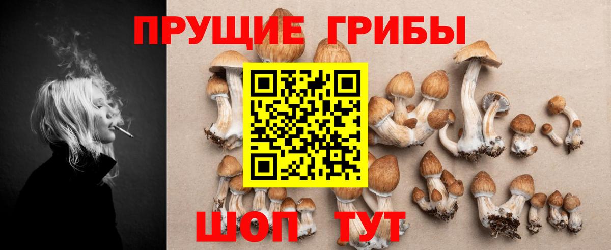 Галлюциногенные грибы ЛСД  Вход с VPN  Алатырь 