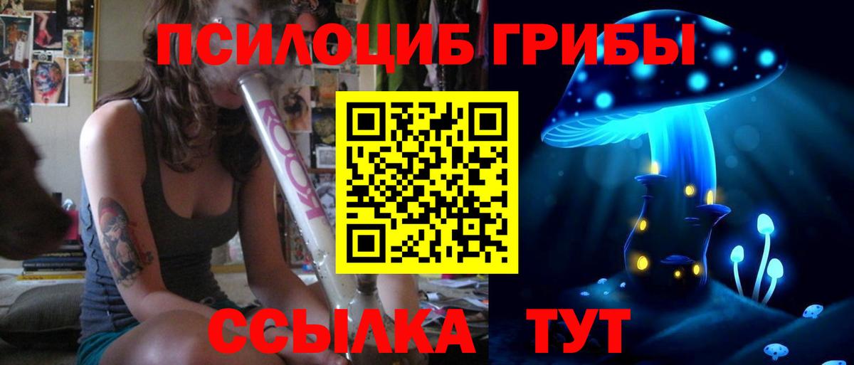 Галлюциногенные грибы Psilocybine cubensis  Алатырь 