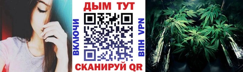 Конопля AK-47 как найти закладки Алатырь