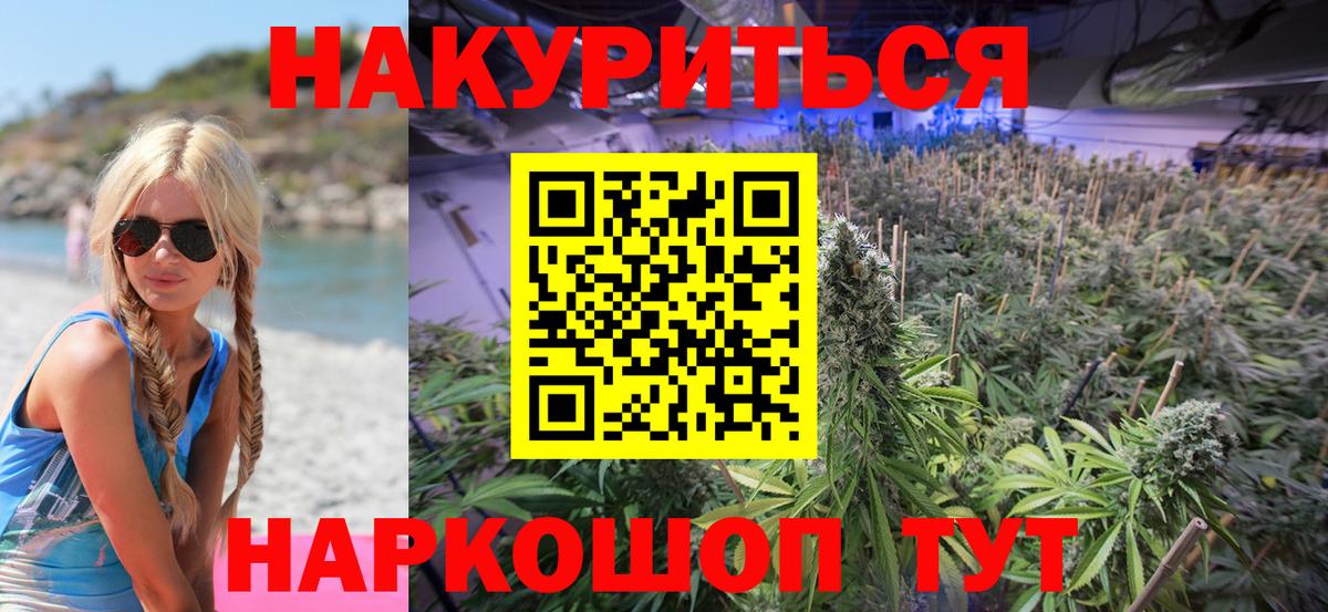 Марихуана план  Бошки Шишки ГИДРОПОН  Вход с VPN  Бошки Шишки THC 21%  Алатырь 